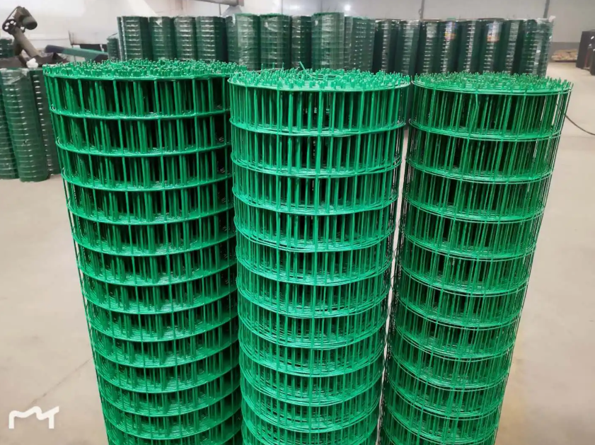 贵定荷兰网
